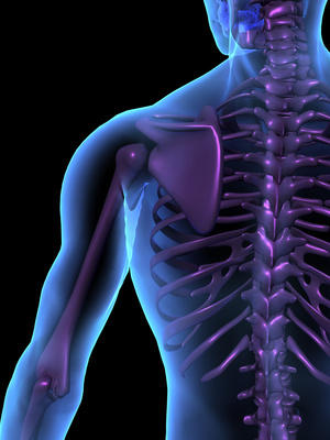Maling Road Chiropractic
