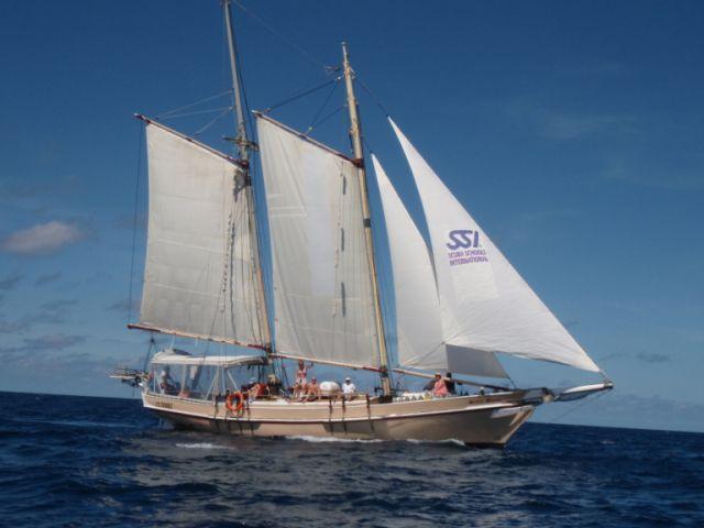 New Horizon Sail and Dive Adventures