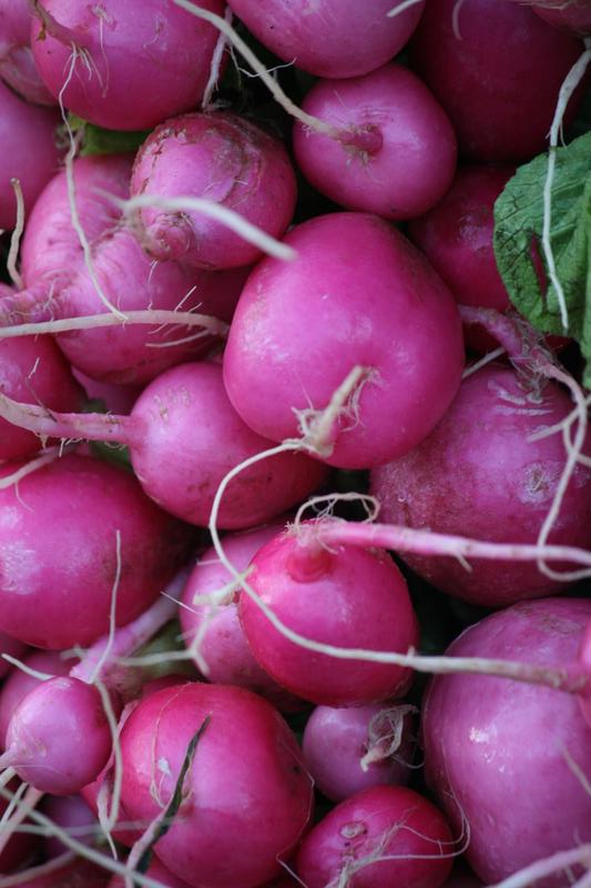 Hinterland Organics