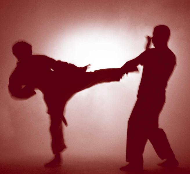 Martial Art Strength