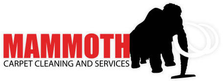 Mammoth Carpet Cleaning Services logo