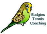 Budgies Tennis Coaching