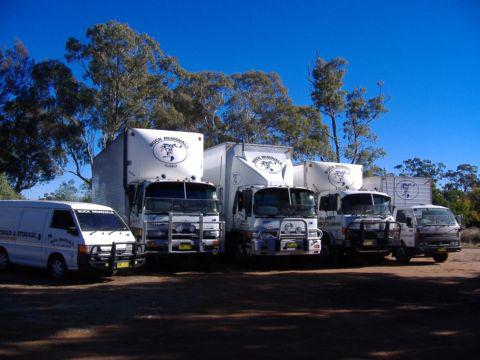 Buck Removals & Storage