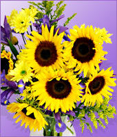 Sydney Florist