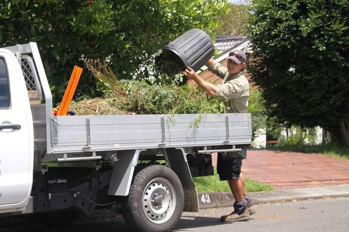 Ned's Landscape Gardening