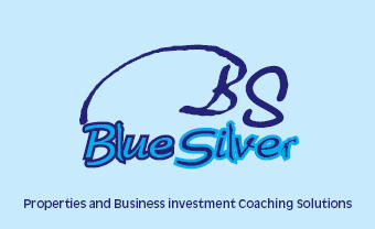 Bluesilver Business Marketing Consultant