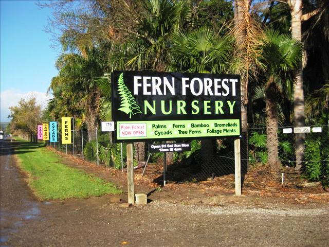The Fern Forest Nursery