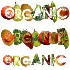 Our Organics