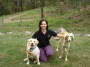 Canine Vitality