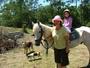 Peacehaven Country Cottages & Farmstay