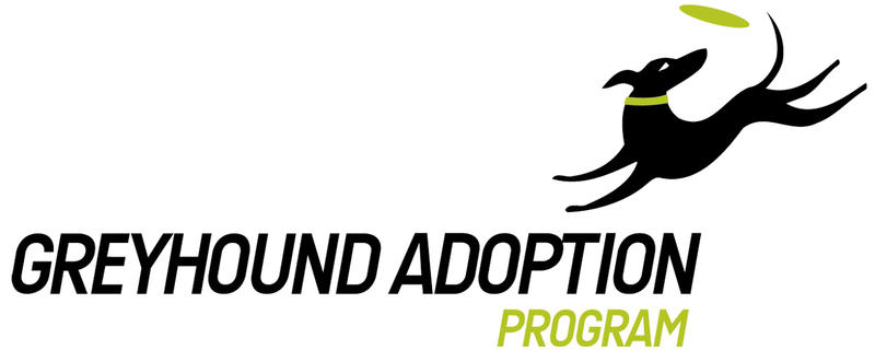 Greyhound Adoption Program