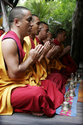 The Buddha Bar Healing Clinic