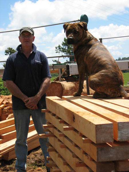 Log Dog Enterprises