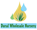 Dural Wholesale Nursery