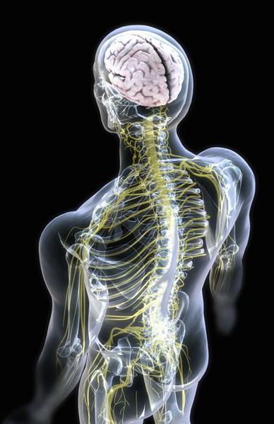 Health for Body and Mind: Chris O'Kane