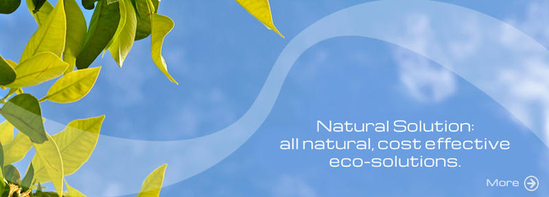 Natural Solution Pty Ltd