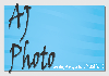 AJPhoto