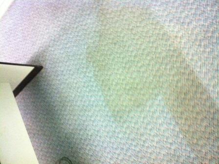 Infinity Carpet Cleaning