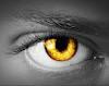 BD Eye Investigations