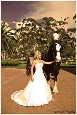 Charming Carriages