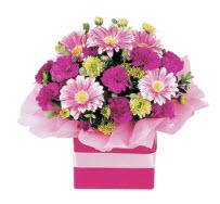 Flowers a Bunch: Campbelltown