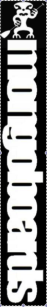 Mongoboards