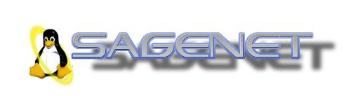 Sagenet Consulting