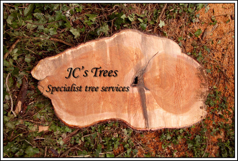 JC's Trees