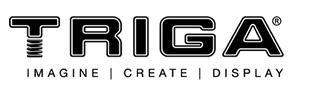 TRIGA Systems International
