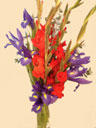 Exclusive Floral Designs