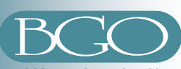 BGO Accounting & Business Solutions