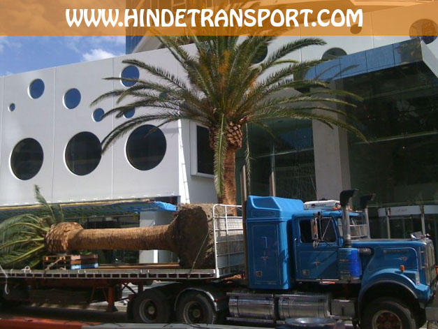 Hinde Transport