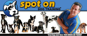Spot On Dog Training