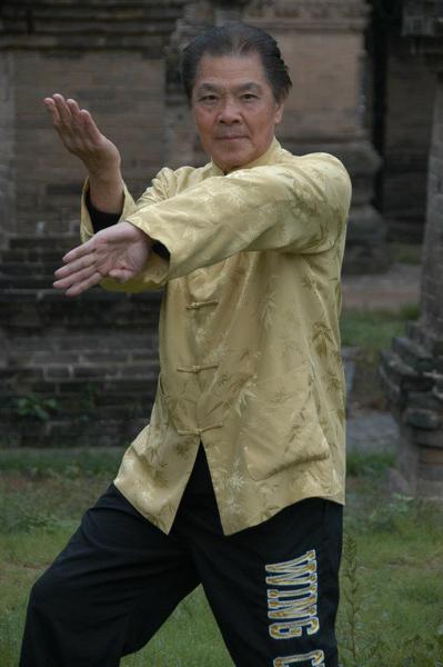 Global Traditional Wing Chun Kung Fu Association: Tasmania