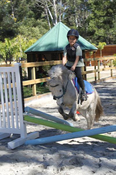 Gold Coast Equestrian Centre: Hope Island
