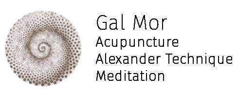 Gal Mor - World of Wellbeing: Philip logo