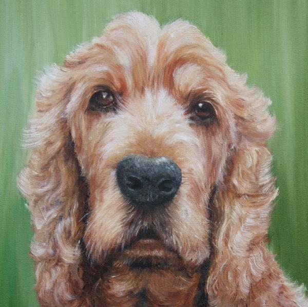 Paintapet Pet