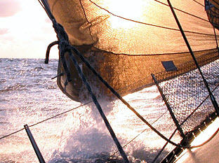 AquaSure Marine