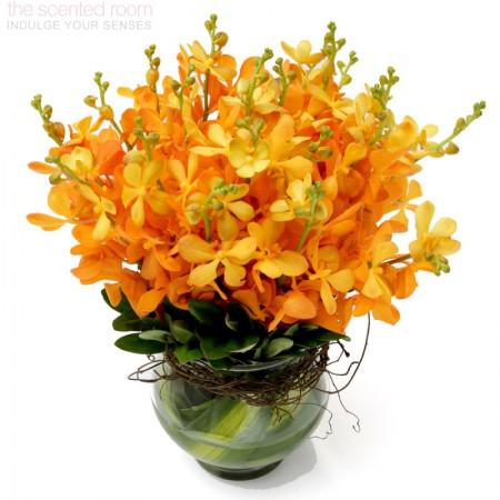 Main Beach Florist
