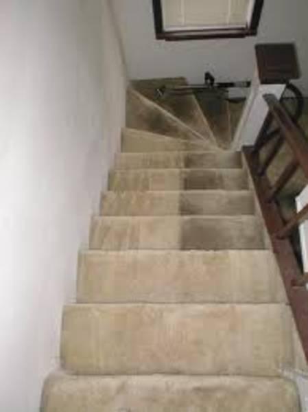 All Star Carpet Cleaning