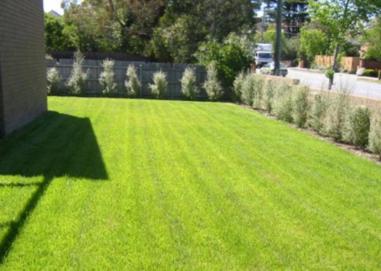 AJAYS Mowing