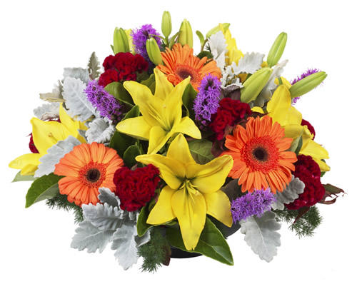 The Flower Factory: Mater Hospital