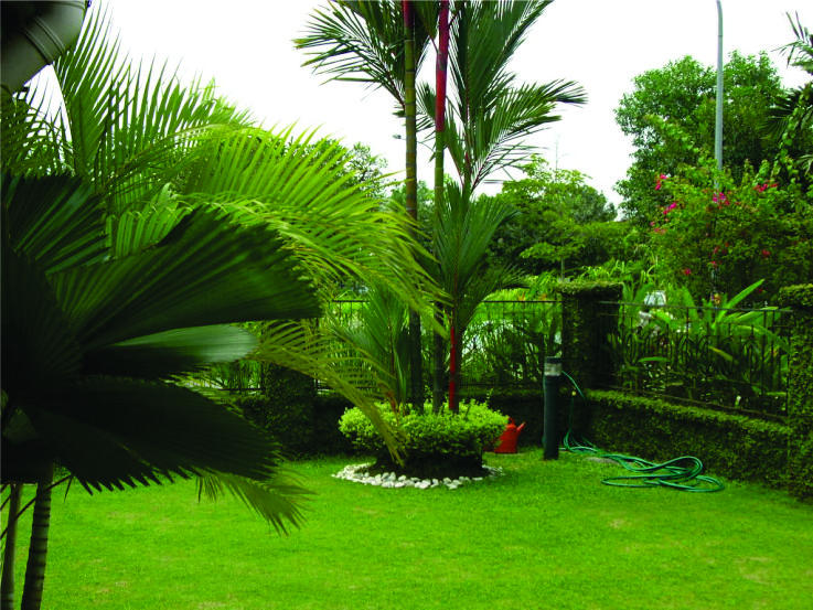Mark's Mowing & Garden Care