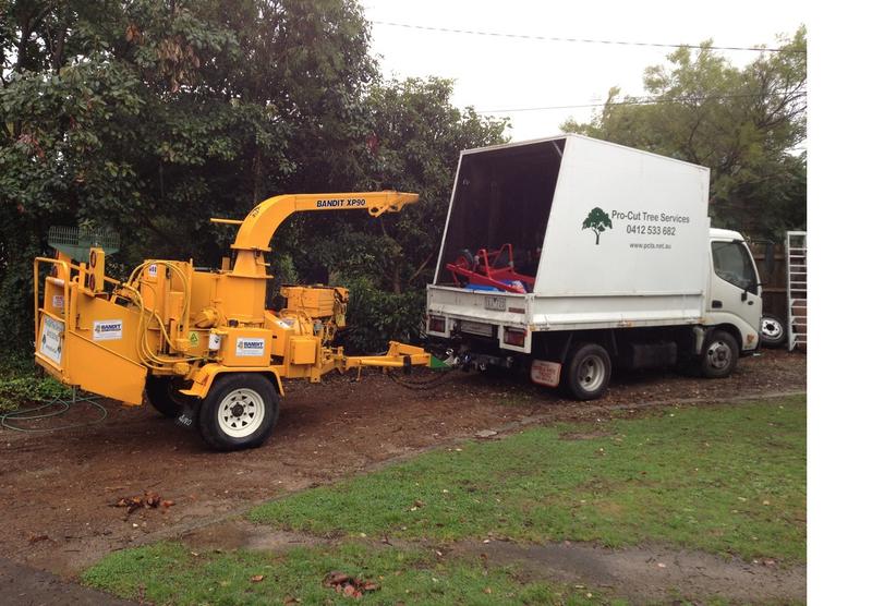 Pro-Cut Tree Services: Glen Waverley