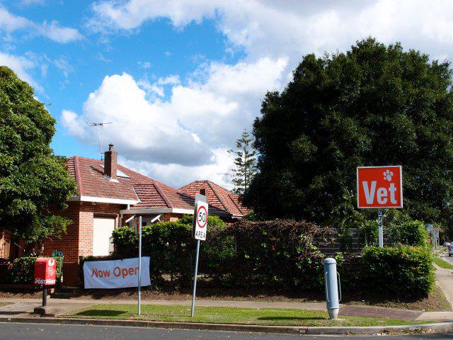 ActiVet Clinic: Carlingford