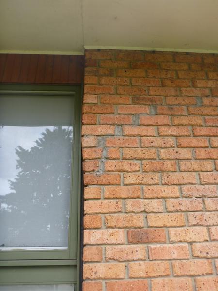 The Building Inspector