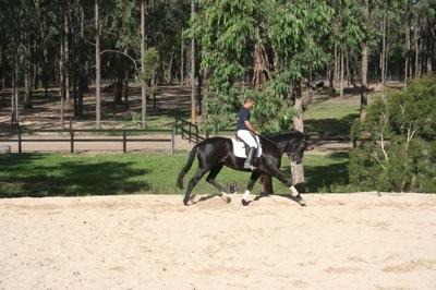 Maitland & Monaghan Equine Training Centre