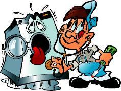 The Eco Appliance Service