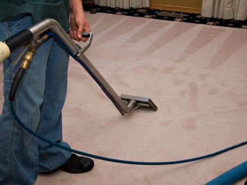 Carpet Cleaning: Williamstown