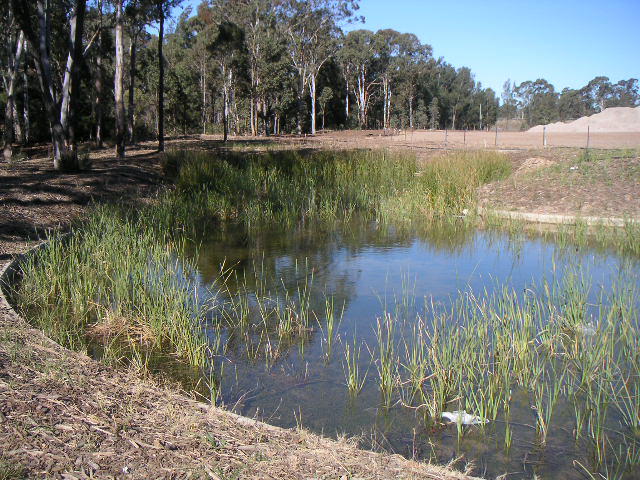 Dragonfly Environmental Pty Ltd